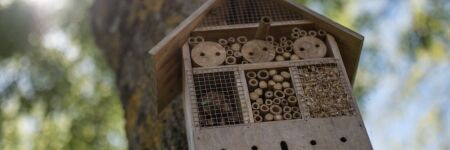 Installer un hôtel à insectes dans le jardin : un geste pour la planète et son potager