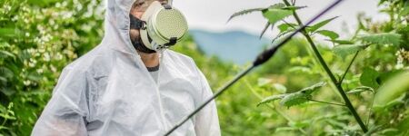 5 alternatives 100% naturelles aux pesticides dans le jardin