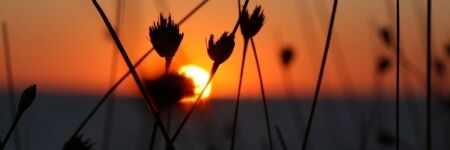 5 astuces pour réussir ses photos de coucher de soleil
