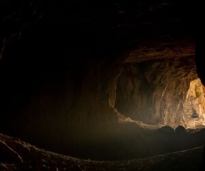 Grotte Chauvet, ce que vous devez savoir avant de visiter
