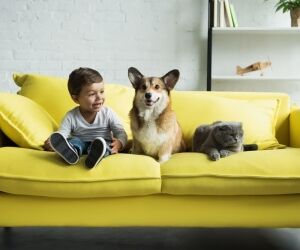 Quel animal de compagnie pour mon enfant ?
