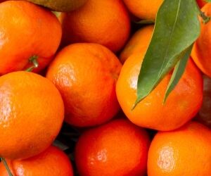Le calendrier des fruits & légumes de janvier