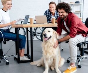 Les animaux au travail, de nombreux bienfaits