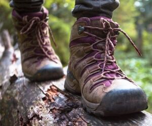 Chaussures de randonnée, le guide pour bien les choisir