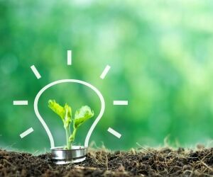 9 conseils simples et efficaces pour réduire son impact environnemental