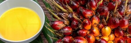 Quel est le problème de l'huile de palme ?