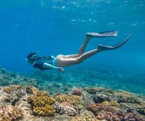 Snorkeling, à vous les randonnées palmées !