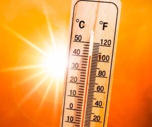 Multiplication des canicules, un indicateur clair du réchauffement climatique