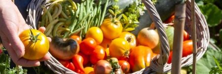 Autocueillette, la bonne idée pour des fruits & légumes bons et moins chers