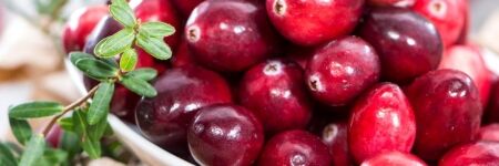 Cranberry : une baie aux nombreux bienfaits