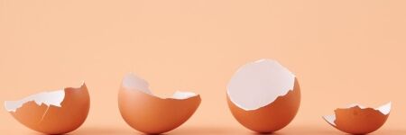 Que faire de mes coquilles d'œufs ? 19 idées