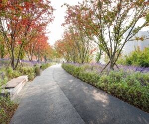 Les arbres pourraient réduire la mortalité liée aux canicules urbaines