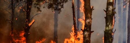 Prévention des feux de forêt, ce que vous devez savoir