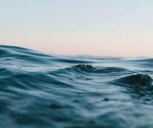 Quels sont les secteurs qui consomment les plus d'eau ?