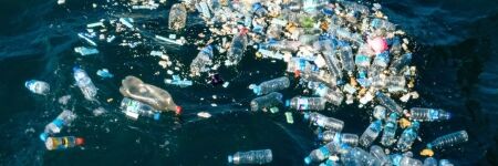 Le continent de plastique colonisé par tout un écosystème