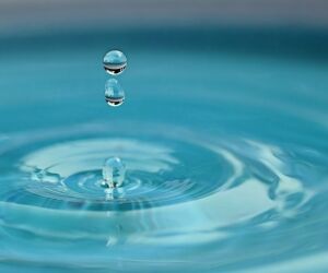 Qu'est-ce qui consomme le plus d'eau dans une maison ?