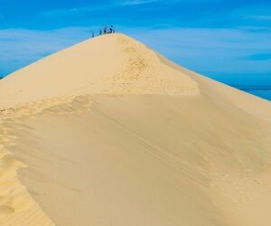 Pourquoi il ne faut pas marcher sur les dunes ?