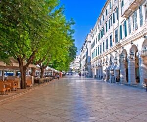 Les arbres sont-ils heureux en pleine ville ?