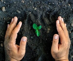 La décroissance, une solution envisageable pour la planète ?