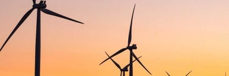 Les énergies renouvelables sont-elles vraiment écolos ?