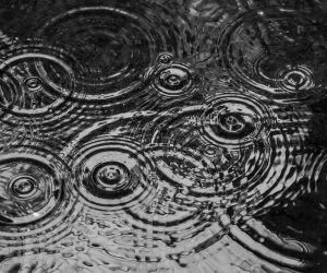 Puis-je récupérer de l'eau de pluie pour la boire ?