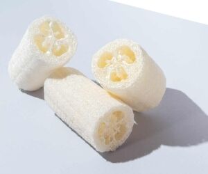 L'éponge Loofah, l’incroyable courge éponge