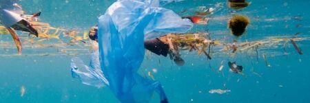 The Ocean Cleanup, l’ONG qui nettoie les océans