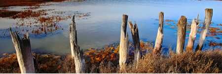 La réserve naturelle de Camargue : à voir et à faire !