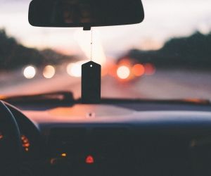 Quel conducteur êtes-vous selon votre signe astrologique ?