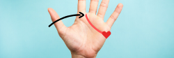 Ligne de cœur de la main, quelle signification ?