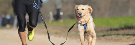 Canicross : 6 conseils pour courir avec son chien