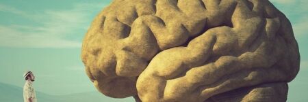 Le cerveau reptilien responsable de nos comportements primaires, mythe ou réalité ?