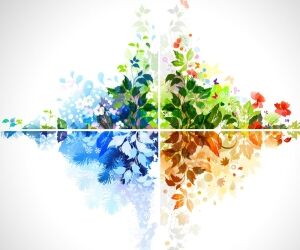 Les 4 éléments du zodiaque et leur influence sur votre signe