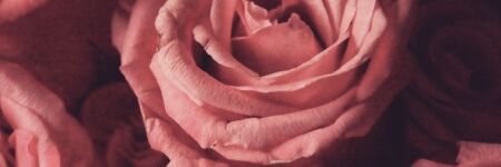 Ces signes astrologiques vont passer la meilleure St Valentin de leur vie !