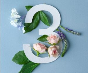 Chemin de vie 3 : l'optimisme qui fait tout... ou presque