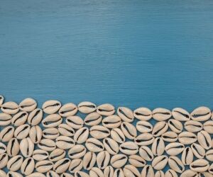 Les vertus des cauris : les coquillages qui lisent l'avenir