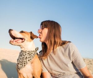 Quel animal de compagnie vous faut-il selon votre signe du zodiaque ?