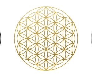Fleur de vie, qu'est-ce que c'est ? Significations et bienfaits