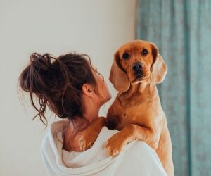 Cancer ascendant Vierge : le rêveur au bon sens pratique