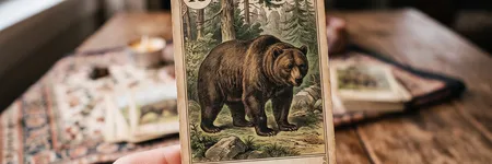 L'Ours dans le Petit Lenormand : signification