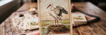 La Cigogne dans le Petit Lenormand : signification