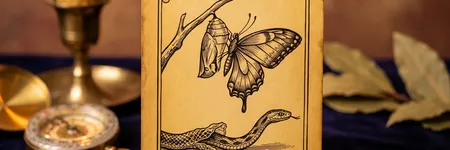 La Mutation, lame 16 de l'Oracle de la Triade : sens