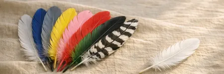 La signification des plumes : découvrez le message des anges