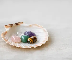 La coquille Saint-Jacques pour recharger ses pierres, une valeur sûre !