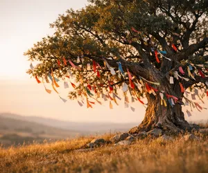 L’arbre à souhaits : histoire, sens et tradition