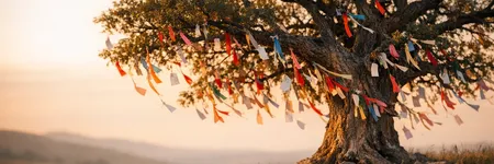 L’arbre à souhaits : histoire, sens et tradition