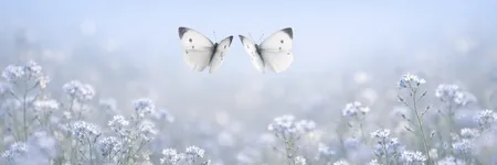 Comment rendre fou un Gémeaux en 5 phrases ♊🦋