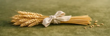La vérité que la Vierge ne veut PAS entendre ♍🌾