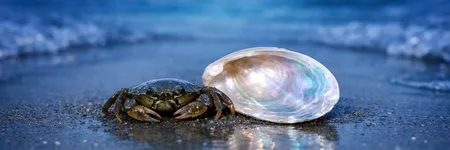 La vérité que le Cancer ne veut PAS entendre ♋🦀