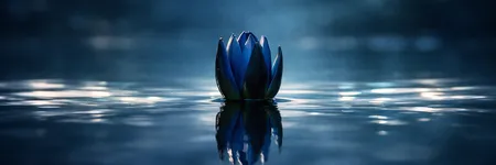 Ce que le Scorpion doit désapprendre pour évoluer ♏🌱